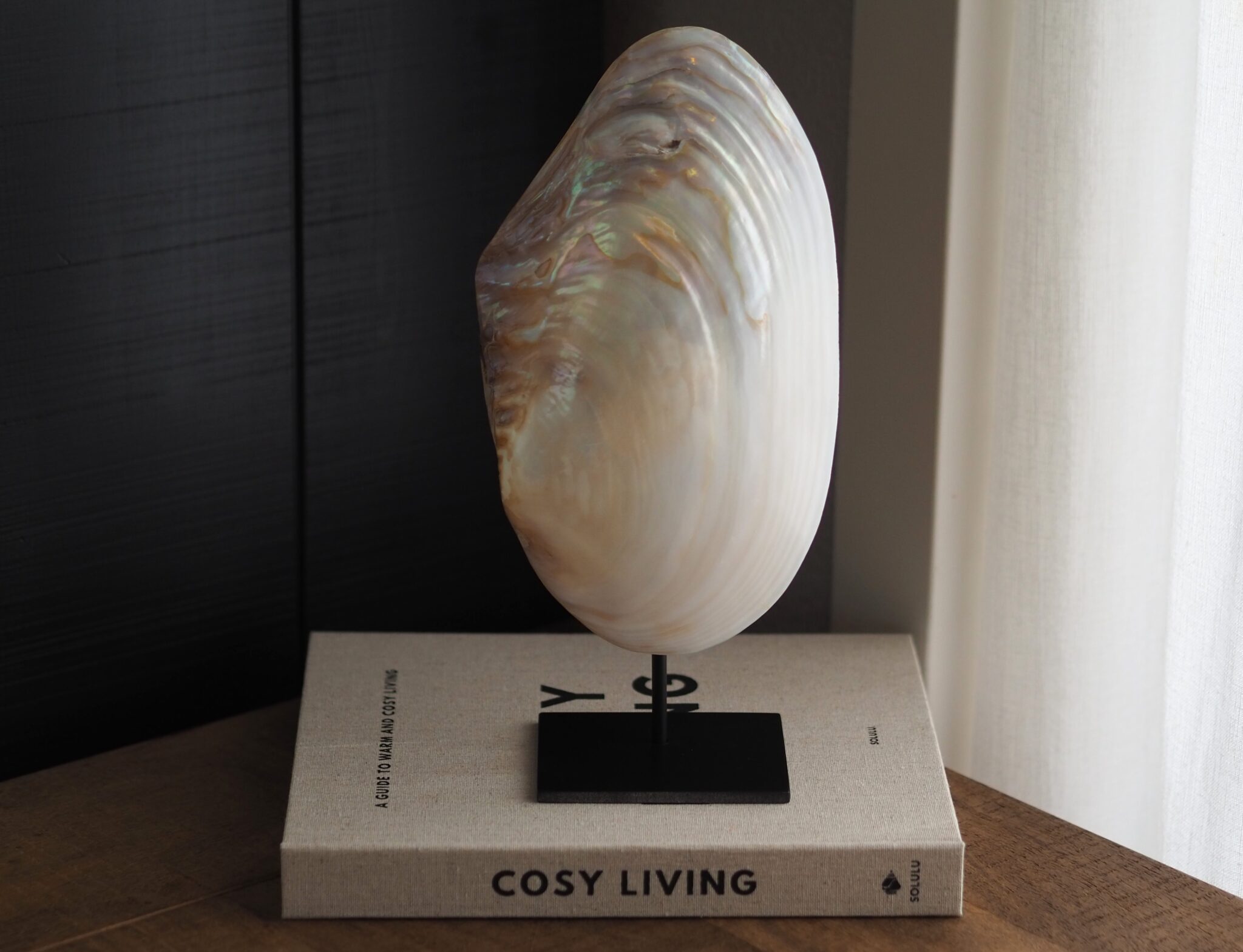 Parelmoer schelp op standaard