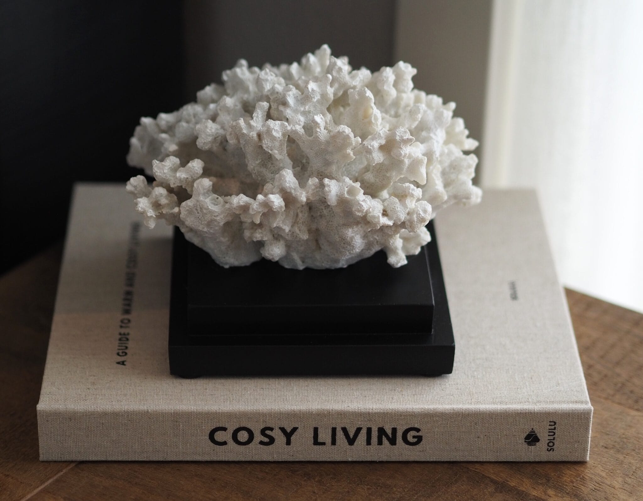 Koraal op voet | wit