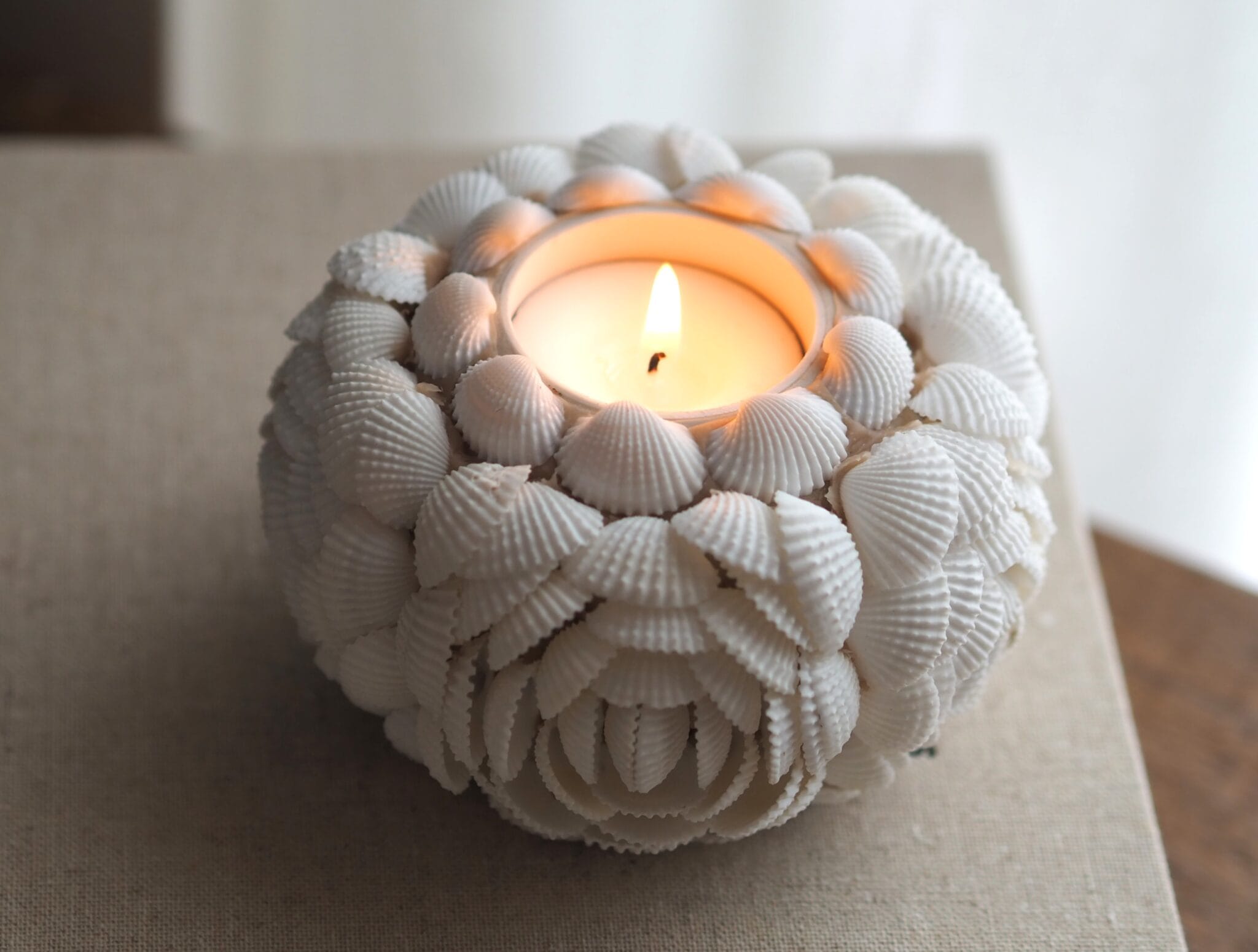 Waxinelichthouder Shell | wit